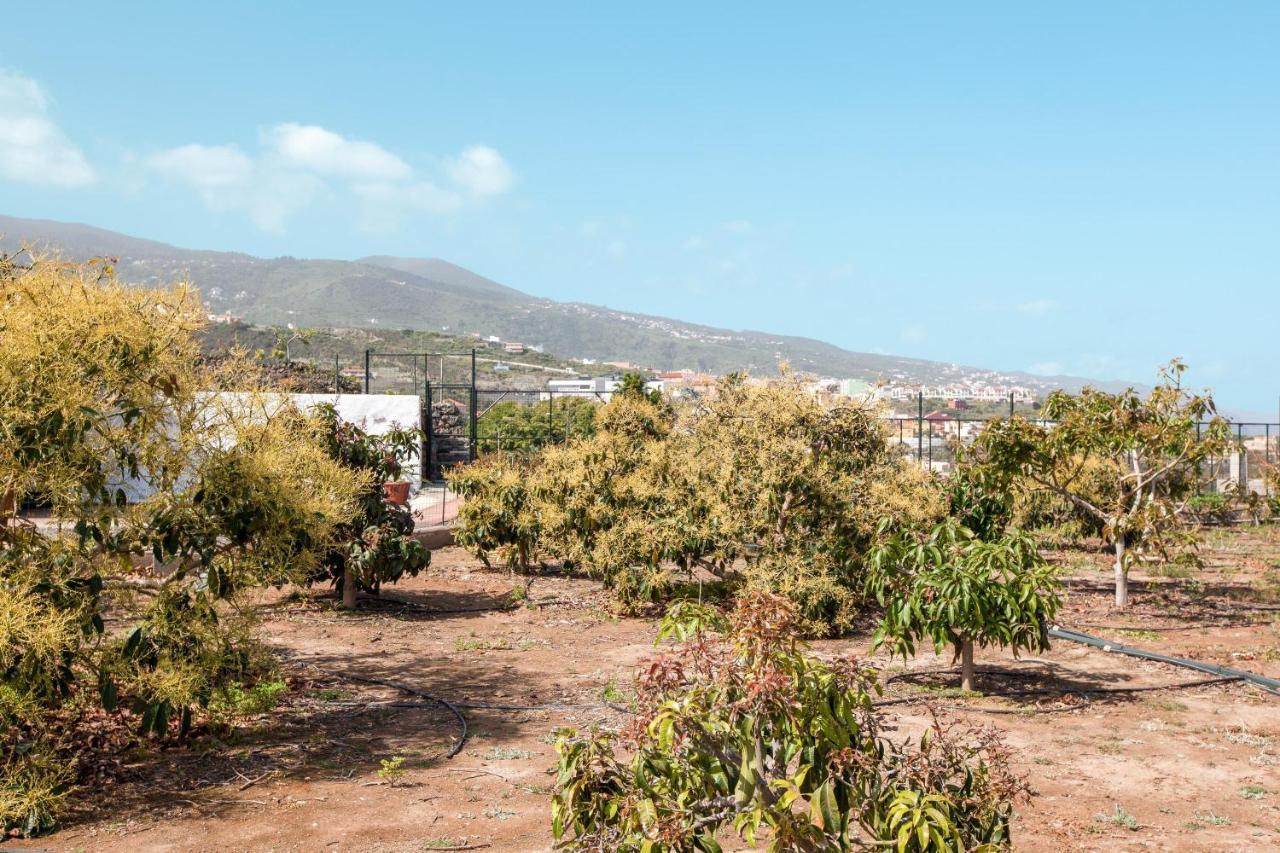 이코드레로스비노스 Casa Quemahierro 1 빌라 외부 사진